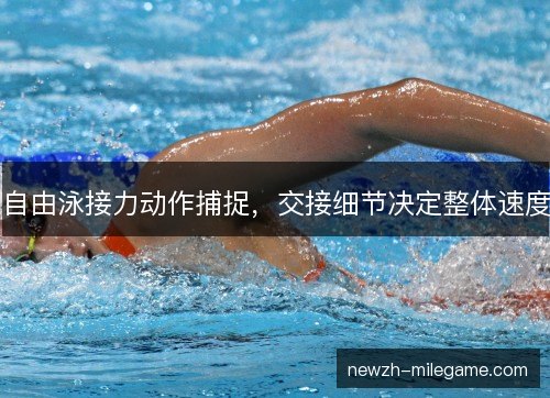 自由泳接力动作捕捉,交接细节决定整体速度 自由泳接力动作捕捉,交接细节决定整体速度